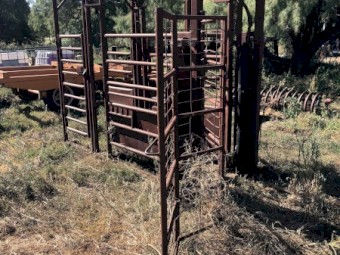 Cattle crush 