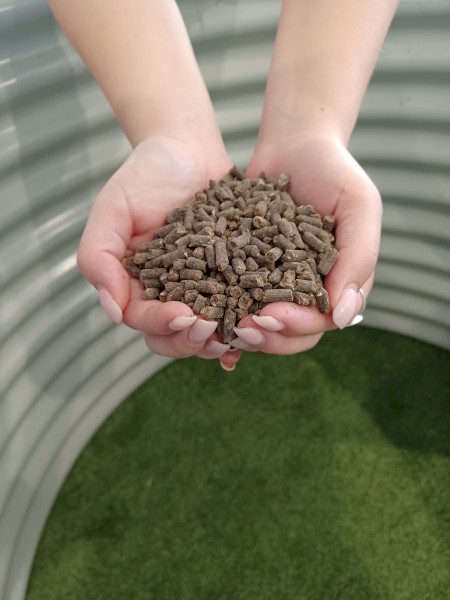 Poultry Pellets 