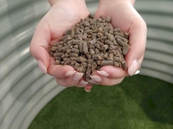 Poultry Pellets 
