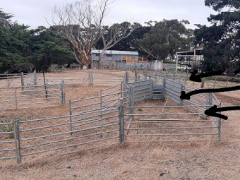 Arrow Semi Permanent Sheep Yards