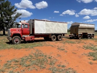 Borcat dog trailer