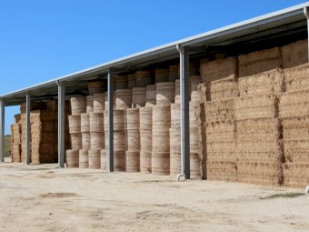 Lucerne Hay Round Bales - Shedded