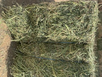 30mt Lucerne Hay 613kg 8x4x3 Bales (B-Grade Q31)