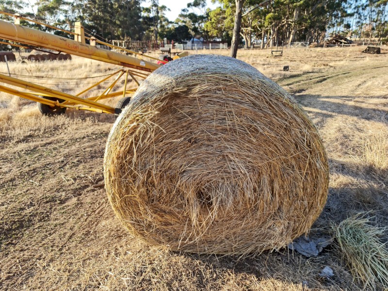 Ryegrass Hay
