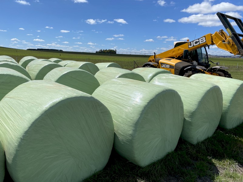 Lucerne Silage Rolls