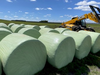 Lucerne Silage Rolls