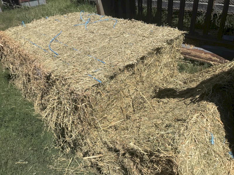 Prime Lucerne Hay 8x4x3 Bales