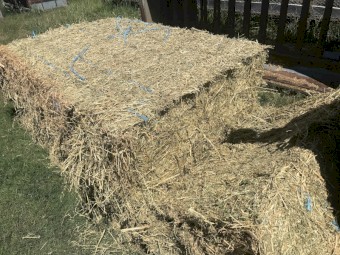 Prime Lucerne Hay 8x4x3 Bales