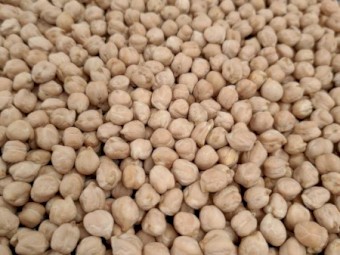 WANTED Kabuli Chickpeas 8mm & 9mm