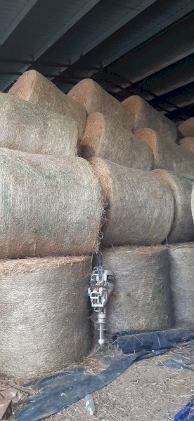 Pasture Hay - Round Bales