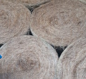 Pasture Hay - Round Bales