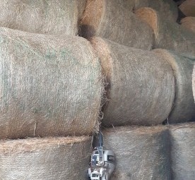 Pasture Hay - Round Bales