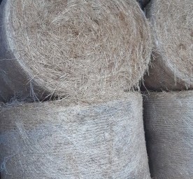Pasture Hay - Round Bales