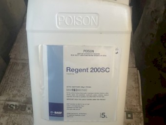 BASF Regent 200SC