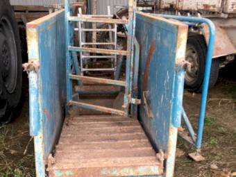 Peak Hill Ewe AI lifter
