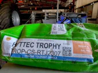 Hyttec Trophy Canola seed