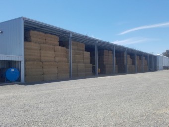 Wheaten Straw - Shedded  (8x4x3 HD)