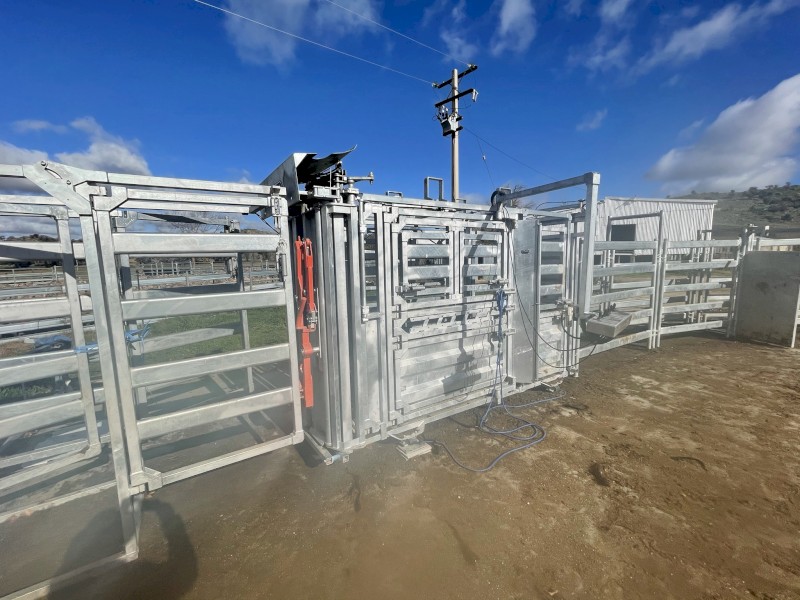 Air operated Clipex cattle crush