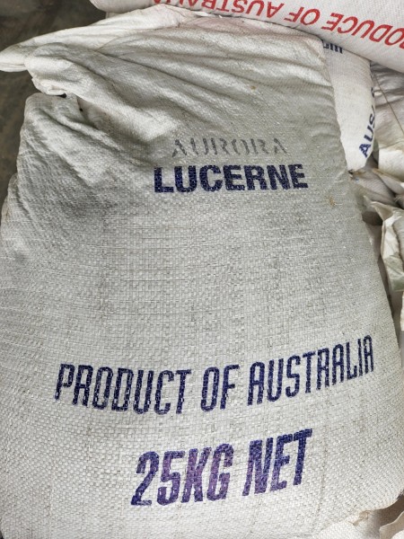 Aurora Lucerne seed