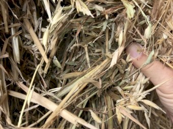 100mt Oaten Hay 700kg 8x4x3 Bales