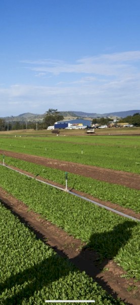 WANTED Farm Lease