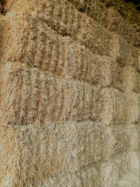 200 x Barley Straw 8x4x3