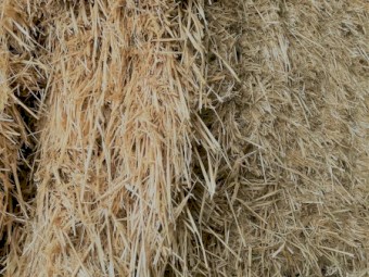 200 x Barley Straw 8x4x3