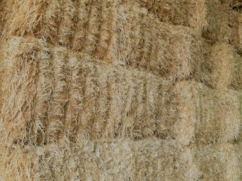 200 x Barley Straw 8x4x3