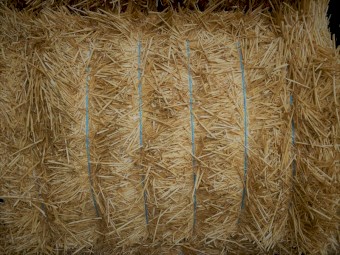 300 x Wheaten Straw 8x4x3