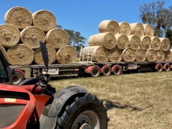 Rye & Clover Hay 390kg 5x4 Rolls