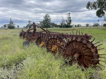 Pin wheel heavy stick rake 