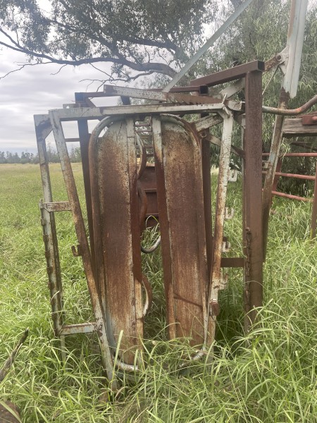 Cattle crush 