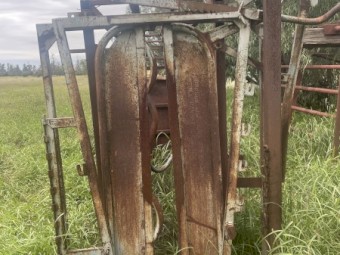 Cattle crush 