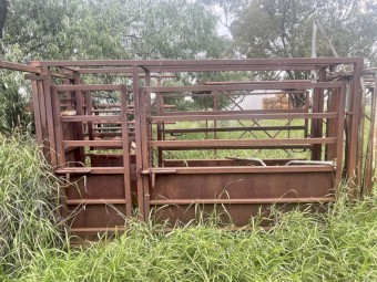 Cattle crush 