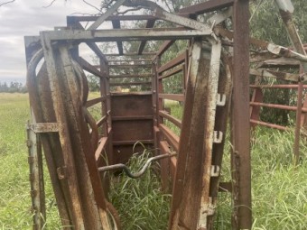 Cattle crush 
