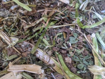 Shaftal Clover Hay - 4x4 Bales