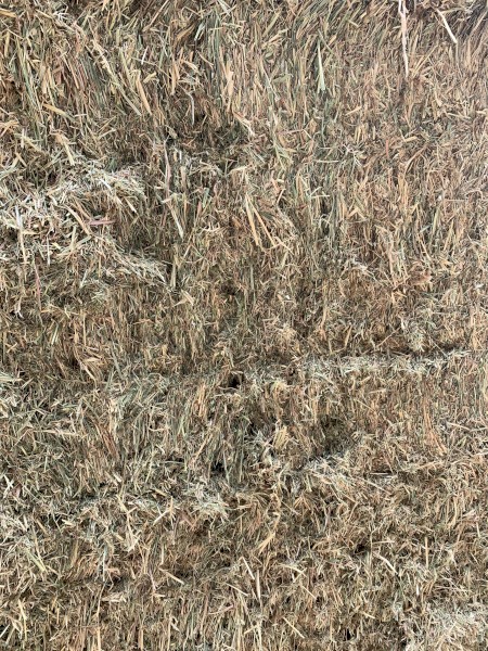 200mt Vetch Hay 8x4x3 Bales