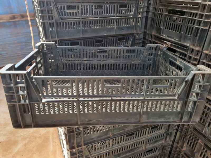 Produce CRATES For Sale