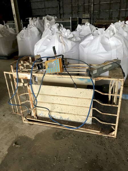 Sheep Weighing Scales