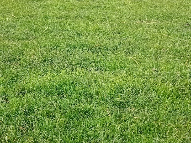 200 acres of farmland in Seymour 