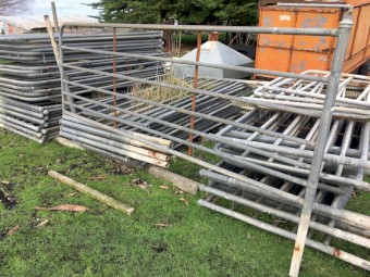 Sheep panels 