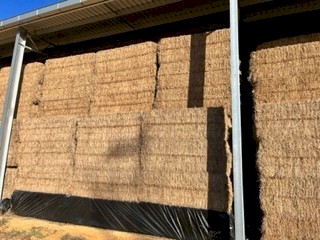 Vetch Hay 8x4x3
