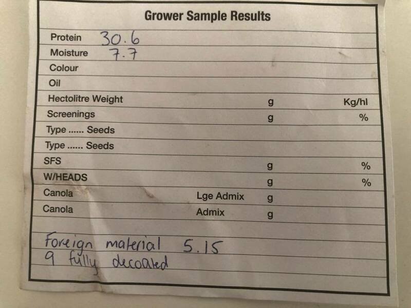 50mt Jurien Lupins