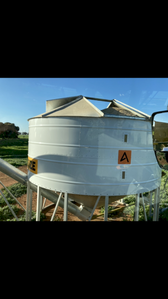 Barley Grain