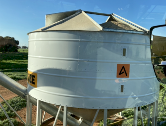 Barley Grain