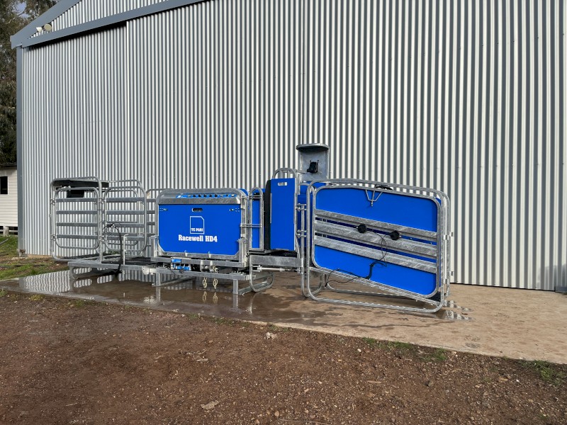 2021 Te Pari Racewell HD4 Sheep Handler