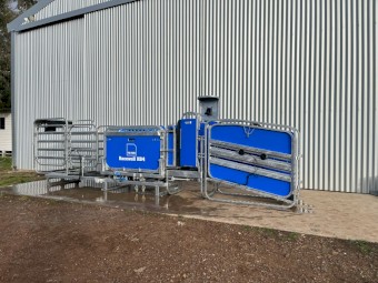 2021 Te Pari Racewell HD4 Sheep Handler