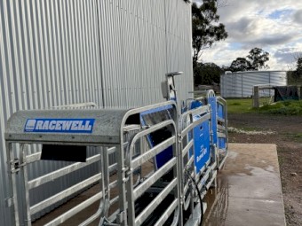 2021 Te Pari Racewell HD4 Sheep Handler