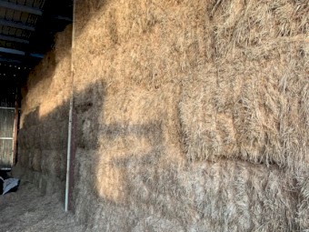 2019 Pasture Hay