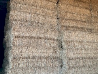 2021 Vetch Mix Hay